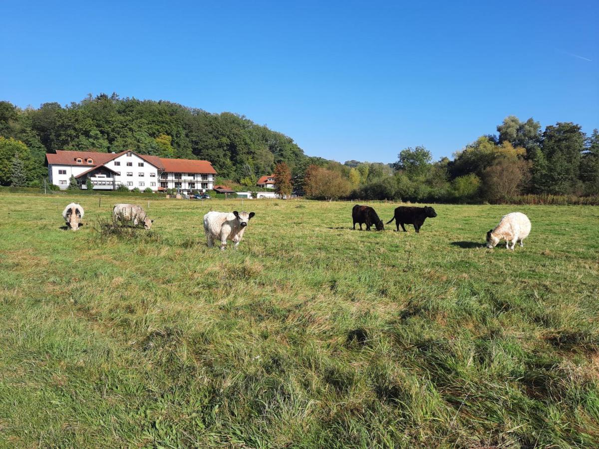 Ortenberg  Landgasthof Rotlipp Gaestezimmer מראה חיצוני תמונה